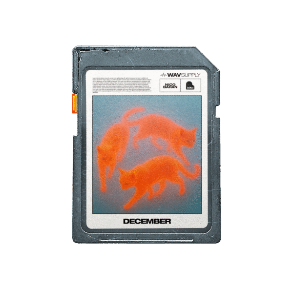 NICO BARAN - DECEMBER (LOOP KIT)